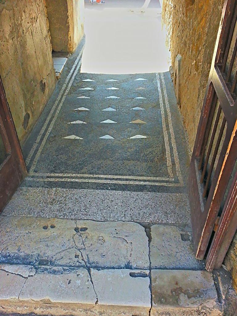 III.3 Herculaneum. Photo taken between October 2014 and November 2019.
Threshold to entrance doorway and flooring in entrance corridor. Photo courtesy of Giuseppe Ciaramella.